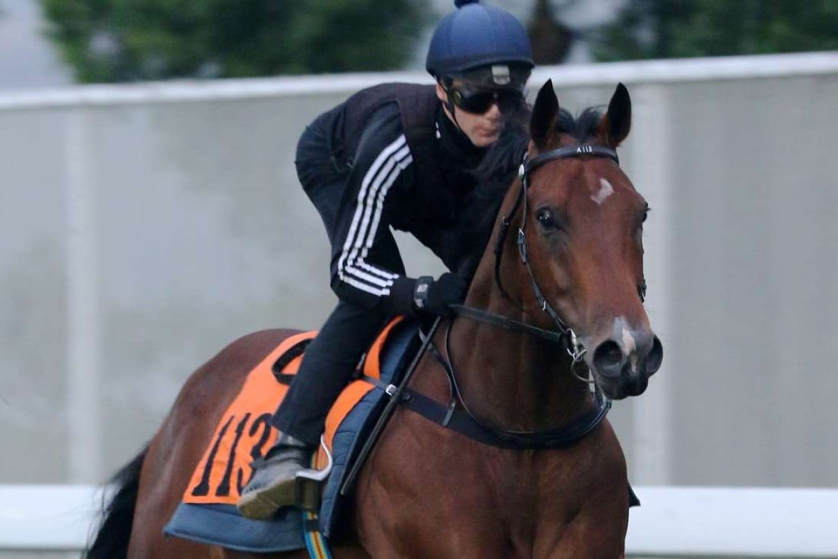 Sam Clipperton gallops Booming Delight at trackwork. Photos: Kenneth Chan