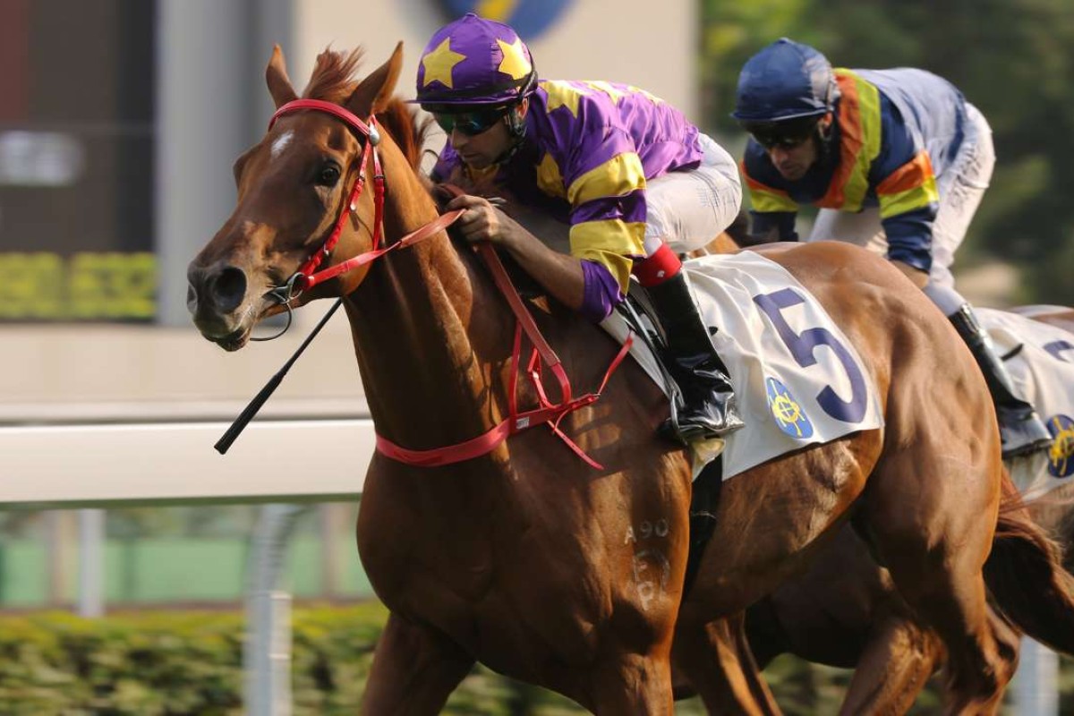 Joao Moreira steers Western Express to victory at Sha Tin on Sunday. Photos: Kenneth Chan