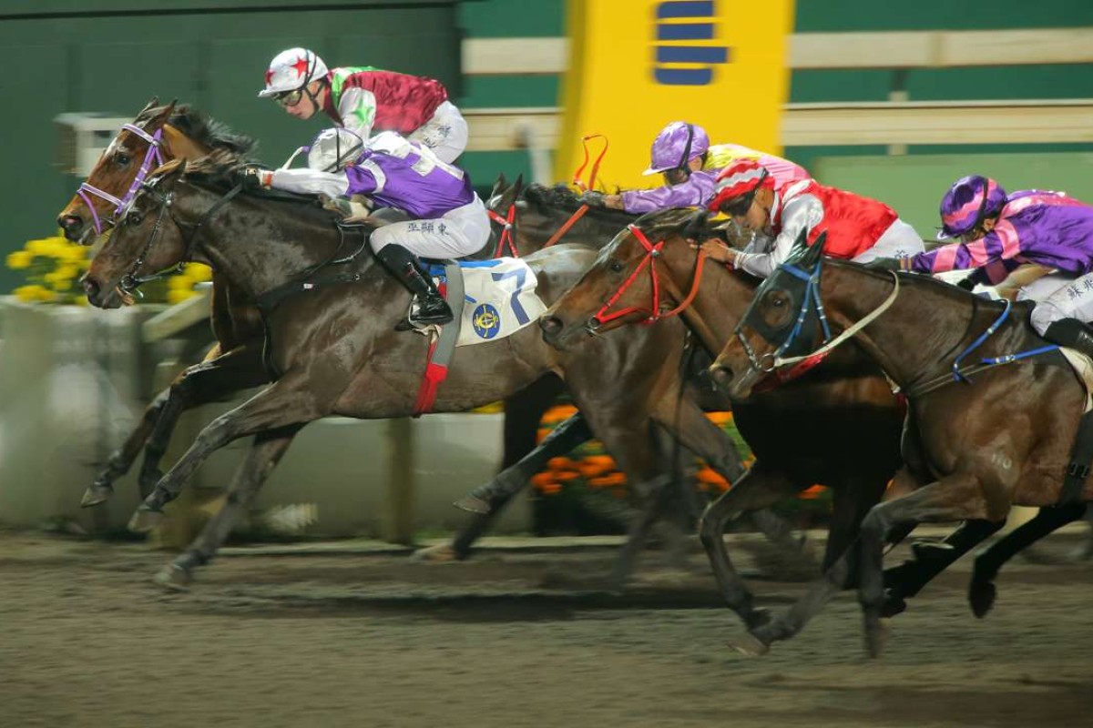 Dundonnell (purple and pink silks) and Fabulous One (maroon, white and green silks) finish third and fourth in a crazy finish at Sha Tin last month. Both horses kick off campaigns in Dubai on Saturday. Photos: Kenneth Chan