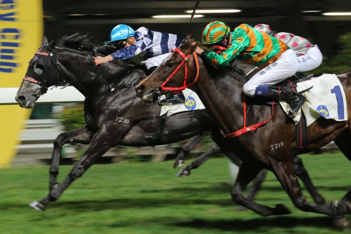 Chad Schofield drives Packing Dragon to hold off the fast-finishing Circuit Land (Nash Rawiller) and win at Happy Valley on Wednesday night. Photos: Kenneth Chan