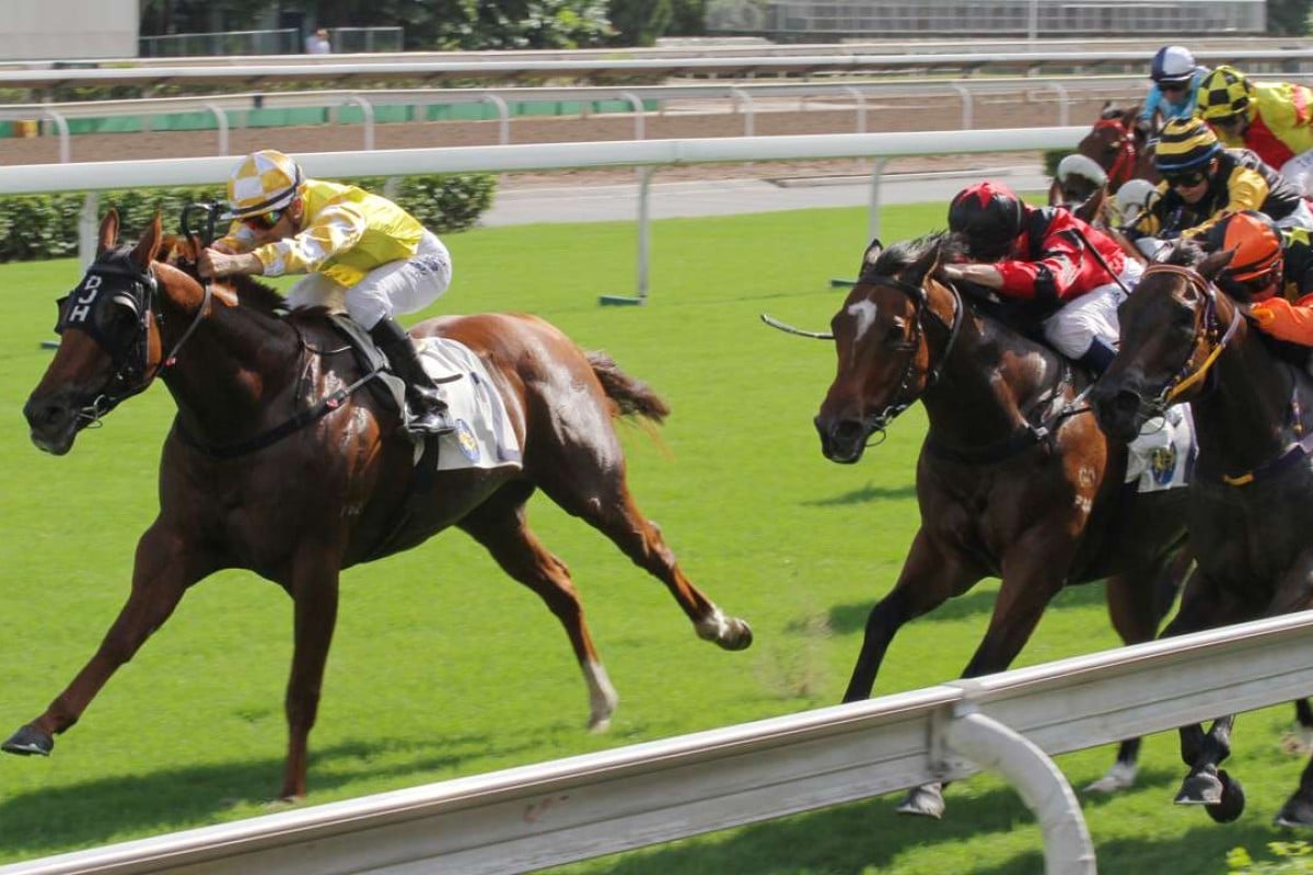 Joao Moreira guides Penang Hall to victory in November 2015. Photos: Kenneth Chan