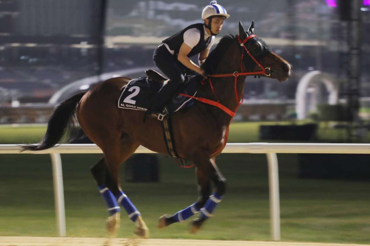 Amazing Kids works on the dirt track at Meydan on Friday morning. Photos: Kenneth Chan