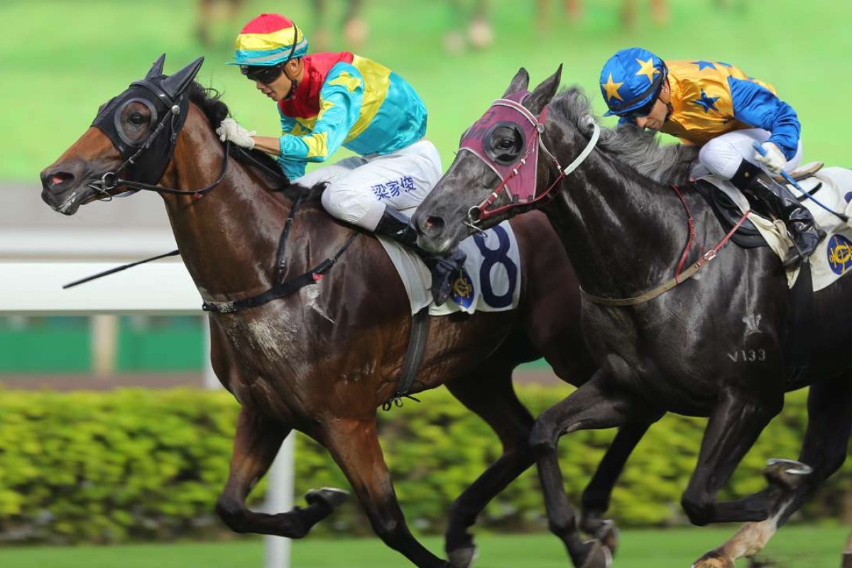 Derek Leung Ka-chun, won the class 2 over 1800m at Sha Tin. BASIC TRILOGY(2), ridden by Joao Moreira. 05Jun16