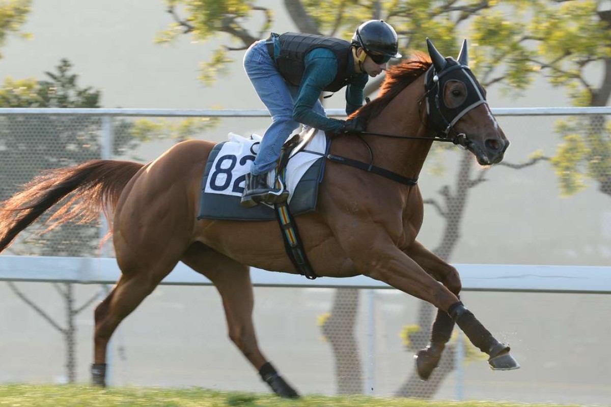 Rapper Dragon ridden by Joao Moreira galloping on the turf at Sha Tin this week. Photos: Kenneth Chan