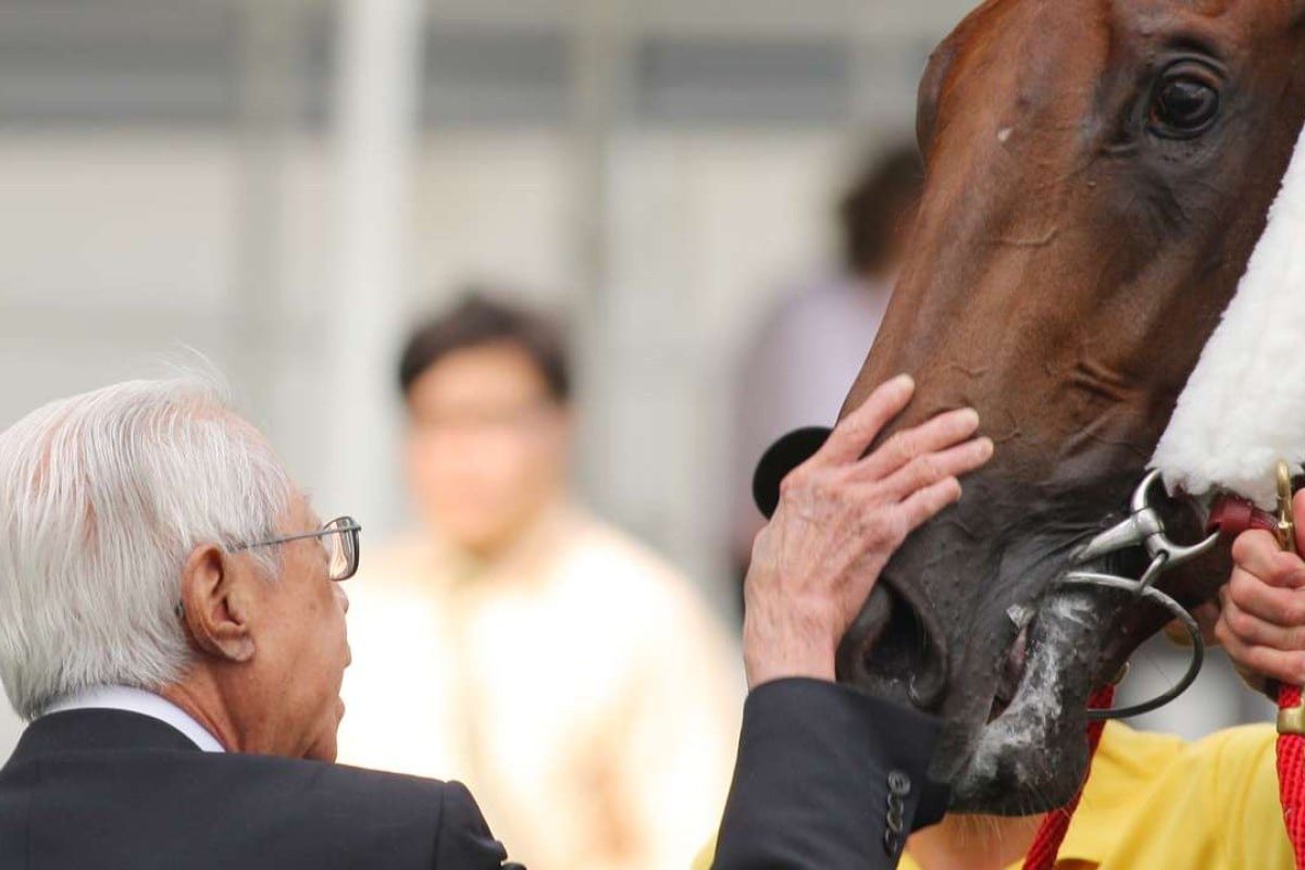 Cornel Li Fook-kwan gives his superstar horse, Able Friend, a pat after one of his many victories. Photos: Kenneth Chan