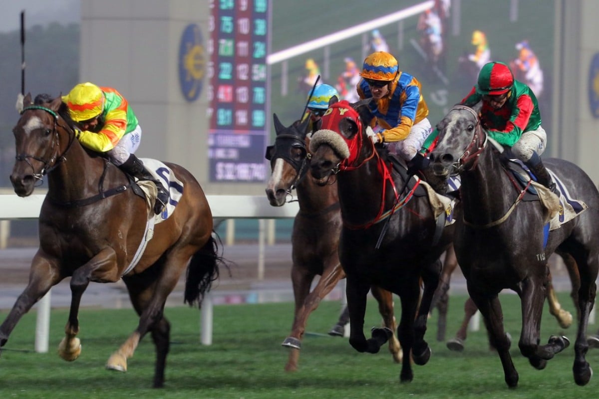 Neil Callan guides Mighty Maverick to victory at Sha Tin in March 2016. Photos: Kenneth Chan