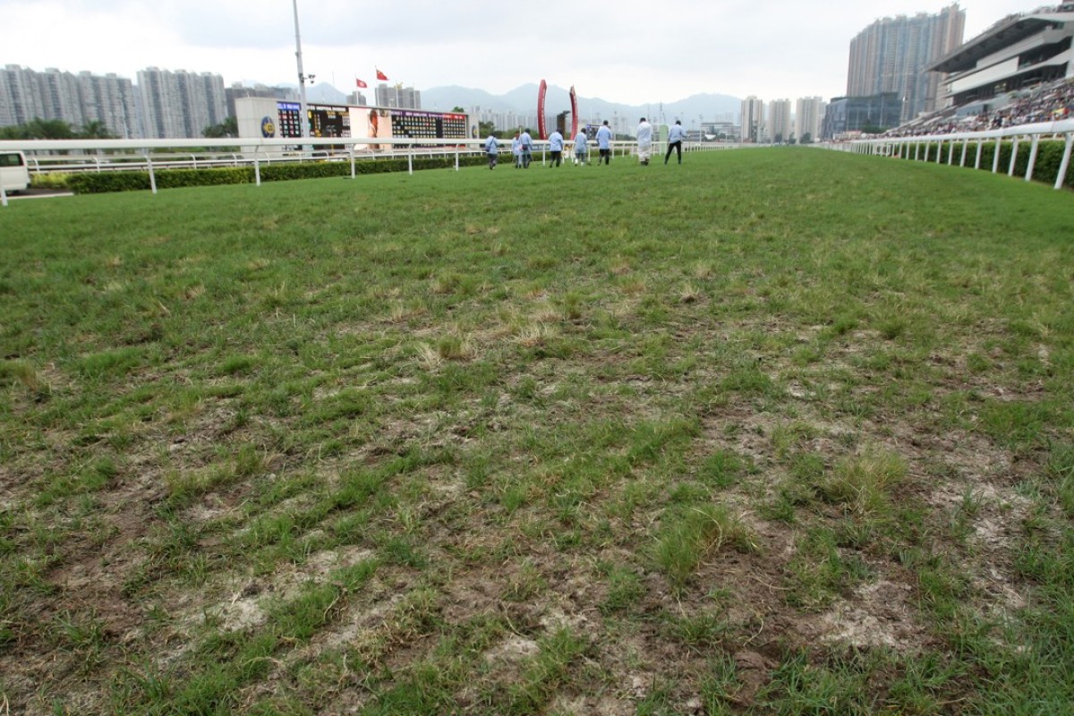 The turf at Sha Tin after race six on Sunday. Photos: Kenneth Chan