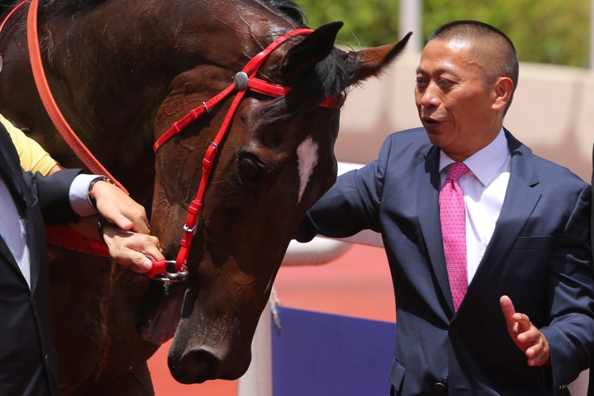 Impressive debut winner Travel Emperor and trainer Danny Shum. Photos: Kenneth Chan