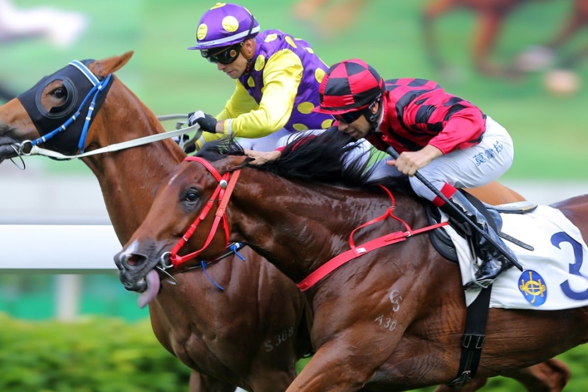 Po Ching Treasure (left) beats out Infinity Endeavour at Sha Tin in June. Photos: Kenneth Chan