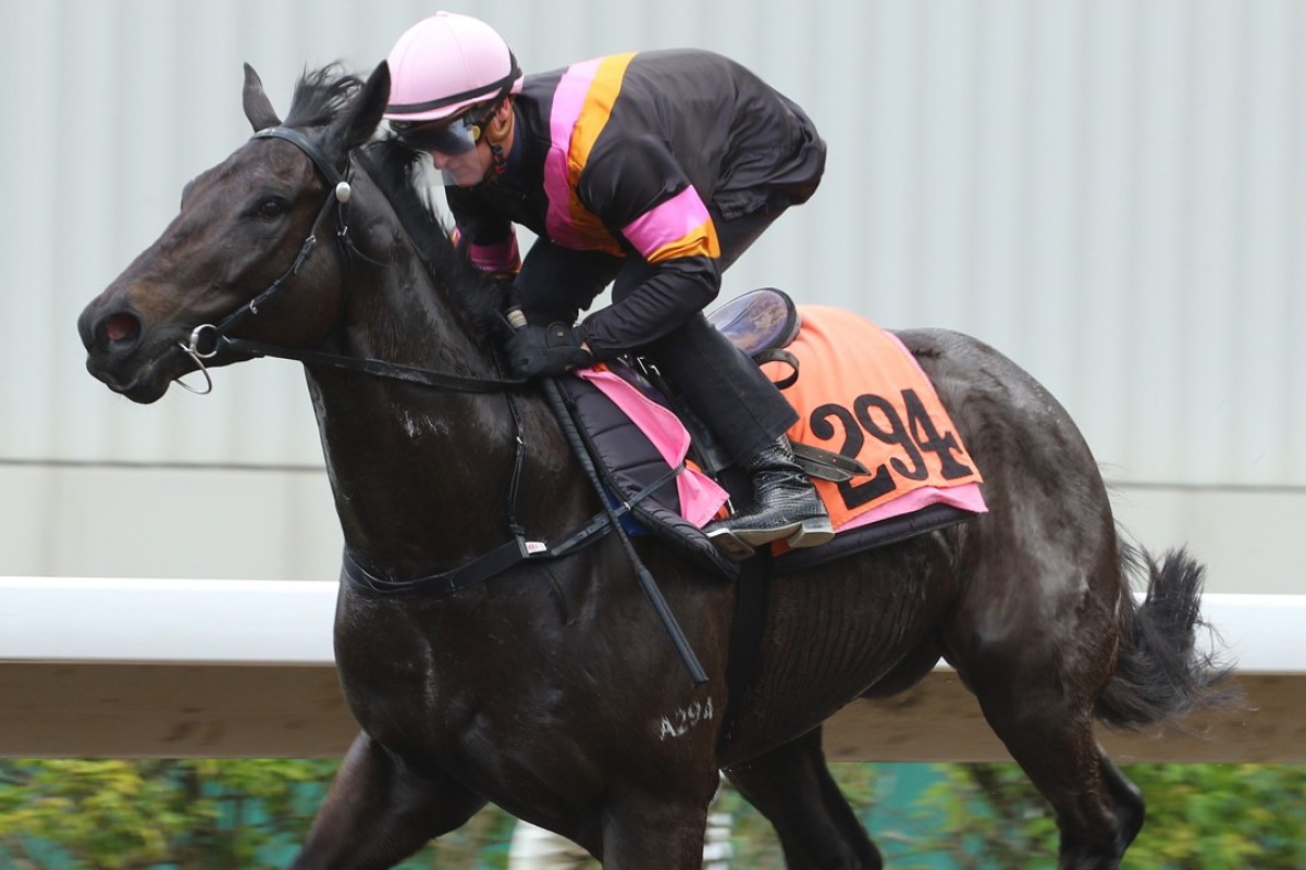 Zac Purton rides Khaki to victory in a barrier trial. Photos: Kenneth Chan