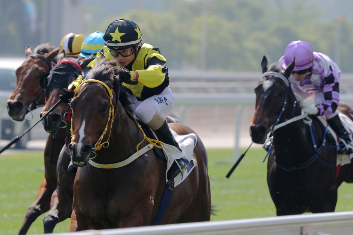 Fish N' Chips (yellow and black) wins down the Sha Tin straight in January. Photos: Kenneth Chan