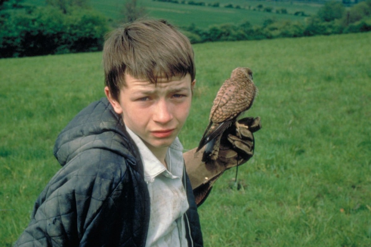 Flashback Kes 1969 Working class Boy Trapped By Social Norms In flashback-kes-1969-working-class-boy-trapped-by-social-norms-in