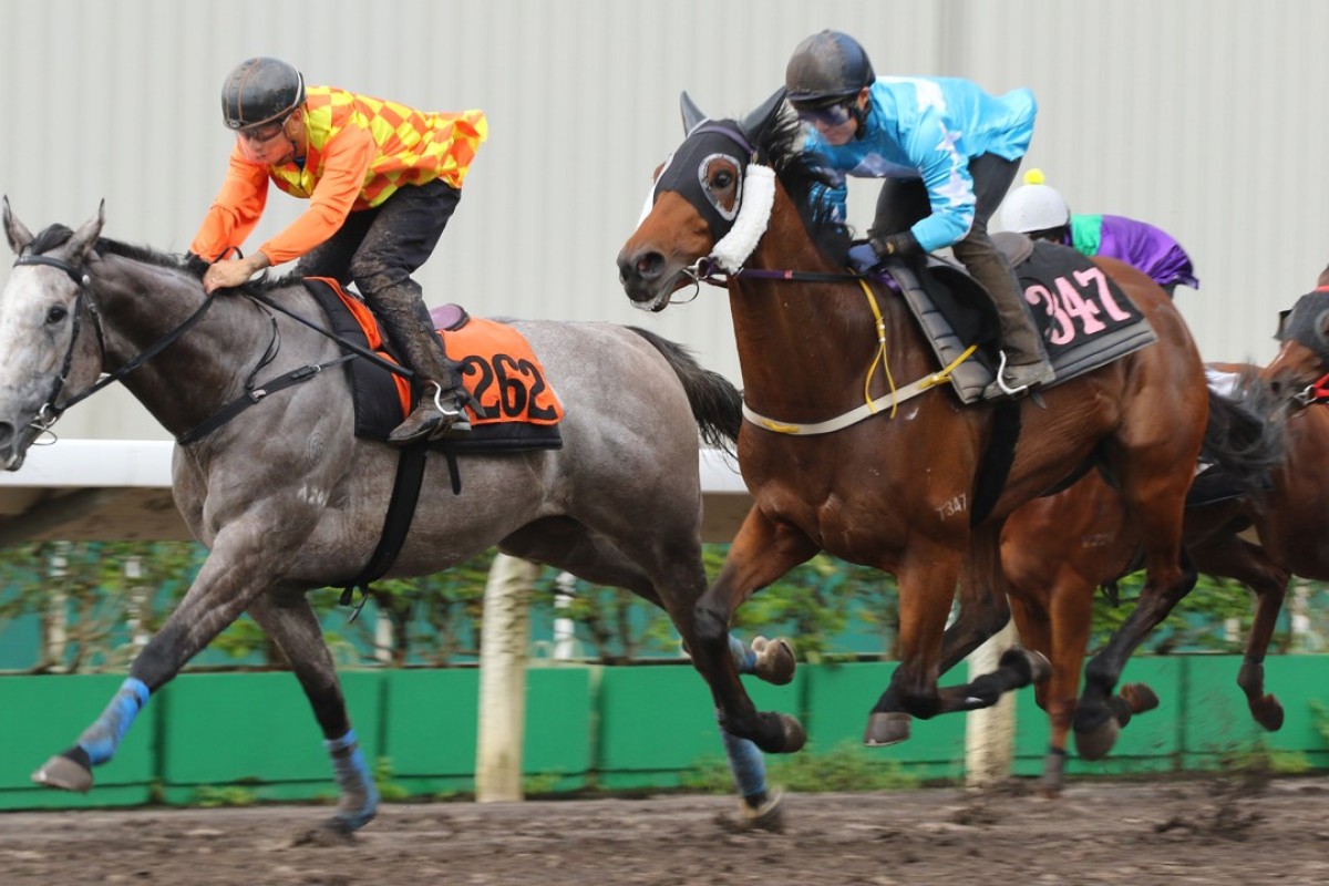 Derek Leung rides Pingwu Spark to a trial victory in May. Photo: Kenneth Chan