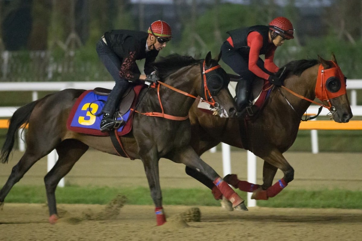 Circuit Land (left) and Lucky Year work at Seoul on Friday. Photos: Kenneth Chan