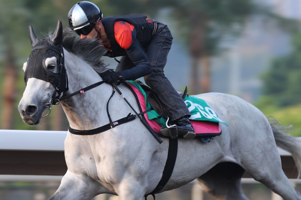 Joao Moreira rides Smart Union at trackwork. Photo: Kenneth Chan