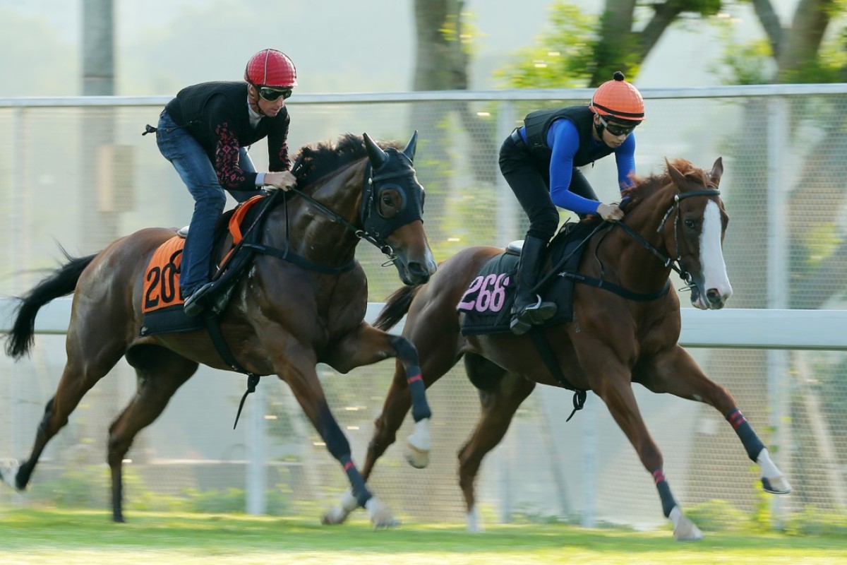 Fantastic Show (Nash Rawiller, left) and New Asia Sunrise (Jack Wong) gallop at Sha Tin. Photos: Kenneth Chan
