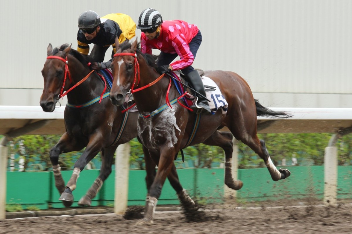 D B Pin (Karis Teetan, left) and Mr Stunning (Joao Moreira) go stride-for-stride in a barrier trial on September 22. Photos: Kenneth Chan