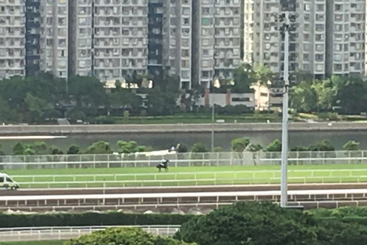 Pakistan Star comes to a standstill down the back straight in his trial at Sha Tin on Tuesday. Photos: Kenneth Chan