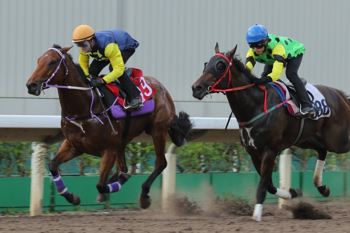 Amazing Star finishes ahead of Nothingilikemore in a trial on the Sha Tin dirt last week. Photos: Kenneth Chan.