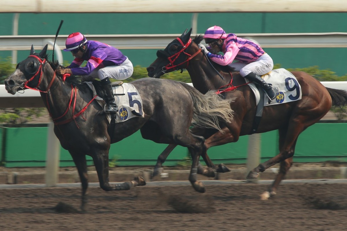 Joao Moreira pushes out Gran Master to win first-up at Sha Tin. Photos: Kenneth Chan