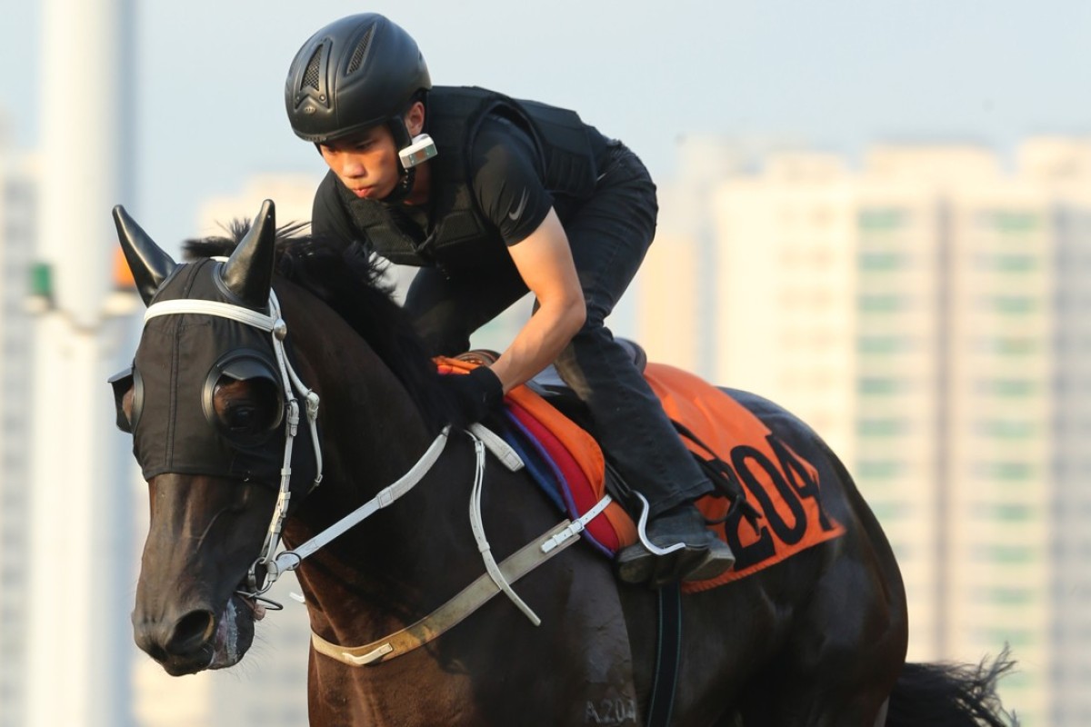 Multigogo works in blinkers. Photos: Kenneth Chan