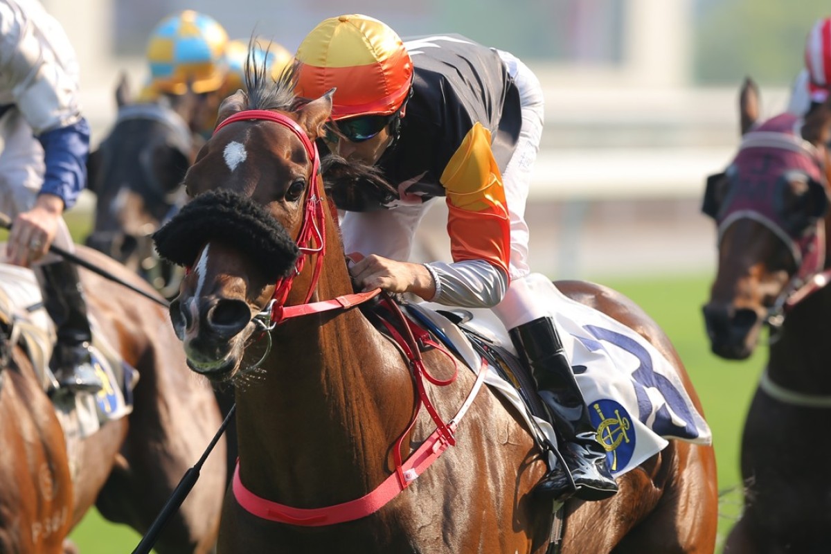 Joao Moreira guides Premiere to victory in September. Photos: Kenneth Chan