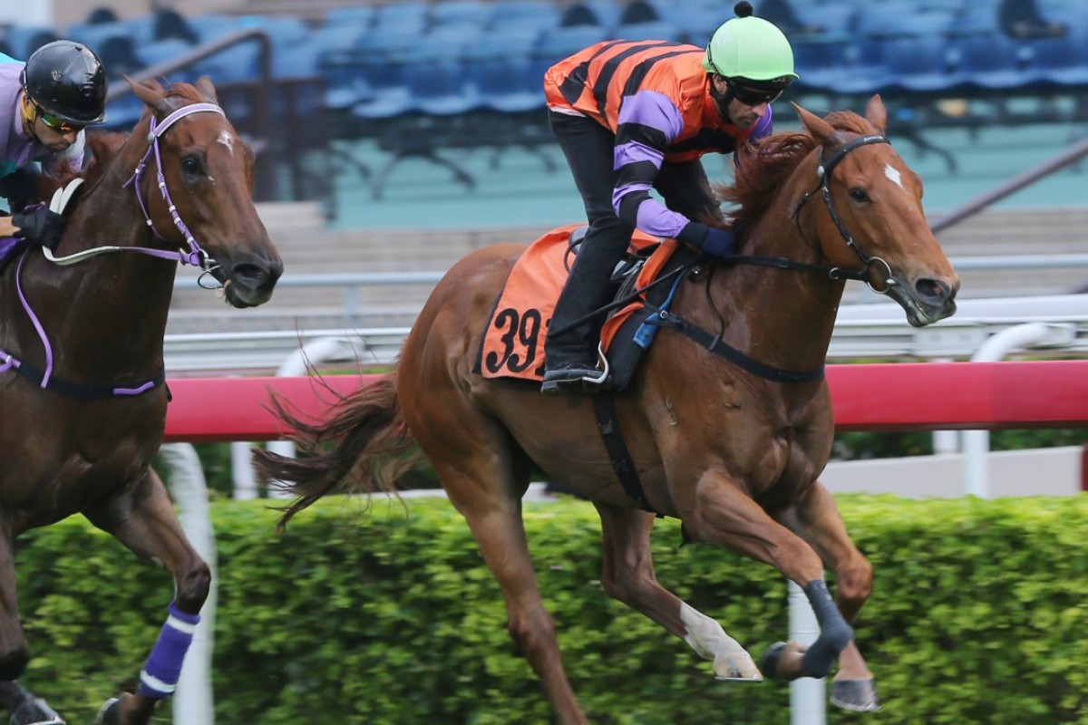 Speedy King trials nicely for Neil Callan at Sha Tin. Photos: Kenneth Chan.