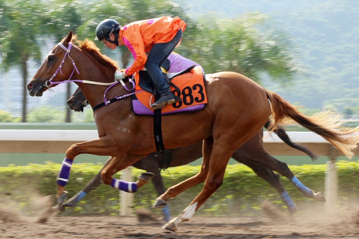 Eddy Lai trials Better Choice in September. Photos: Kenneth Chan