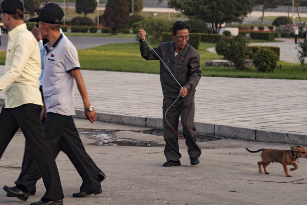 A man walks his dog, Bobo, near the Arch of Triumph, in Pyongyang. Pet ownership is prohibitively expensive for many North Koreans but those who can afford to keep an animal often do so, as pets are considered a status symbol..