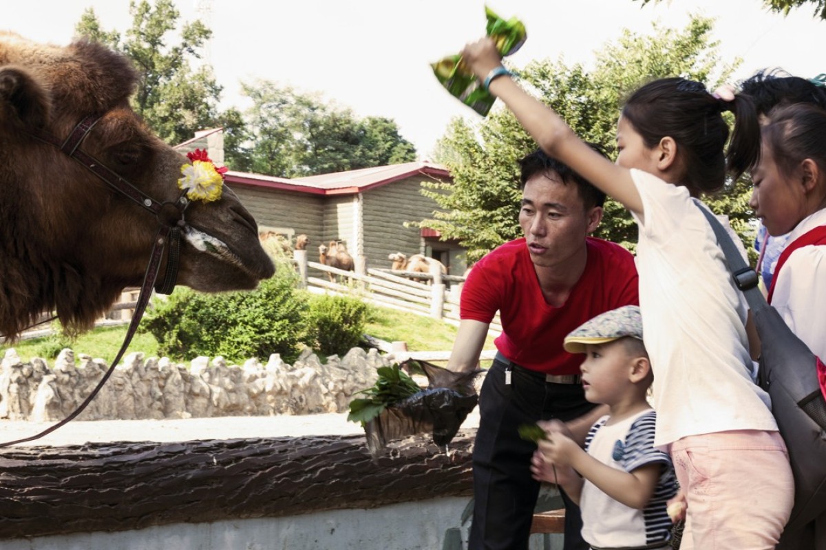 A day out at Pyongyang Central Zoo. The zoo’s exhibits have included gifts from China’s Mao Zedong, Vietnam’s Ho Chi Minh, Zimbabwe’s Robert Mugabe and Libya’s Muammar Gaddafi. More recently the zoo has received animals presented by Russia and Holland. The park is open to the public every day.