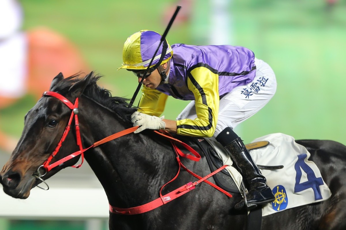 Joao Moreira encourages Time To Celebrate to victory at Sha Tin on Sunday. Photos: Kenneth Chan