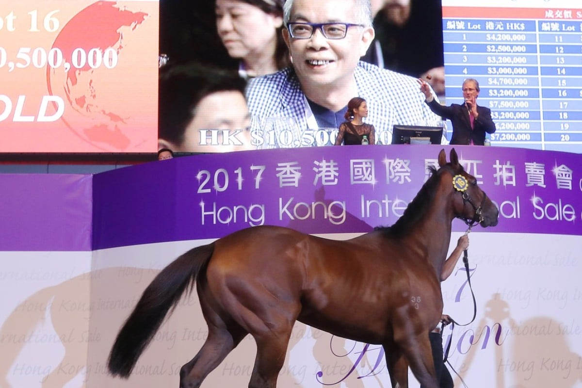 This Australian-bred gelding fetched a record HK$10.5 million at the 2017 Hong Kong International Sale. Photos: Kenneth Chan