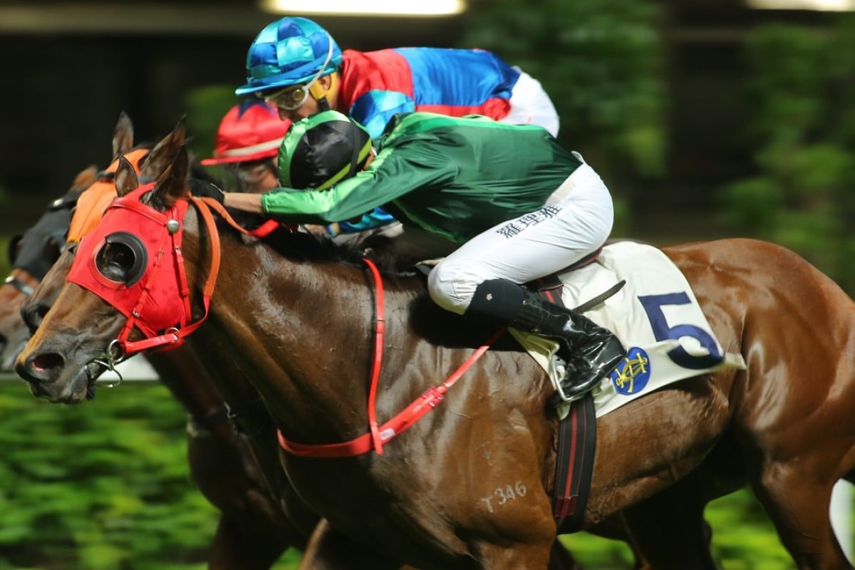 Nash Rawiller gets the most out of Sparkling Talent in a close finish to win at Happy Valley in October. Photos: Kenneth Chan.
