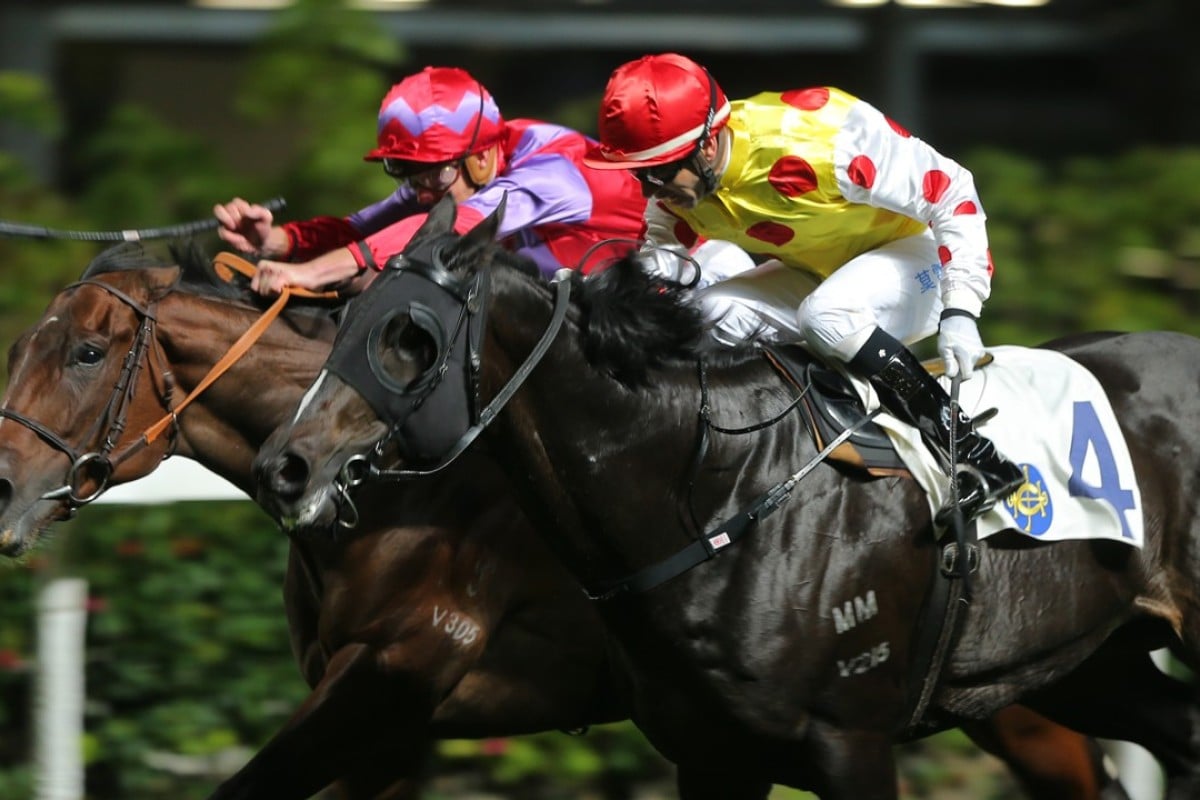 Carry To Win (left) finishes second to Actuariat on Wednesday night. Photo: Kenneth Chan