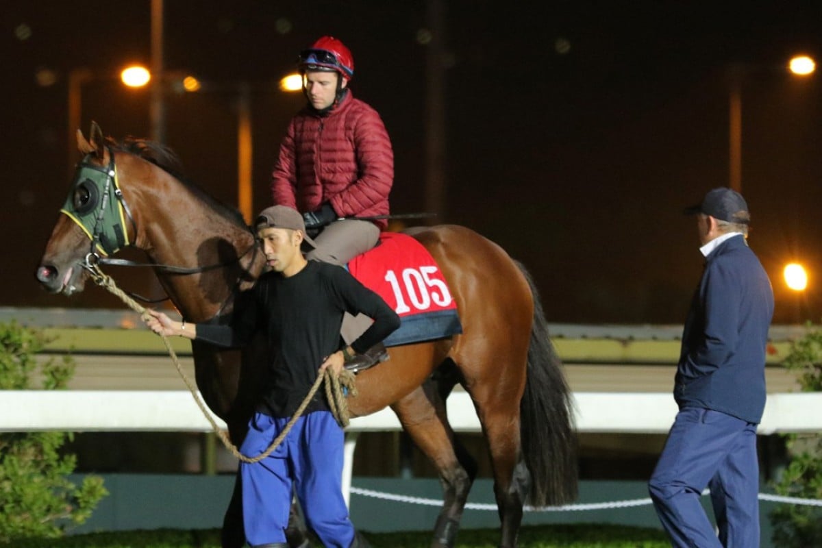 John Moore looks over Good Standing at trackwork on Thursday morning. Photo: Kenneth Chan