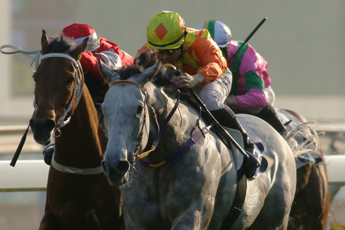 Derek Leung drives Pingwu Spark to victory at Sha Tin. Photos: Kenneth Chan