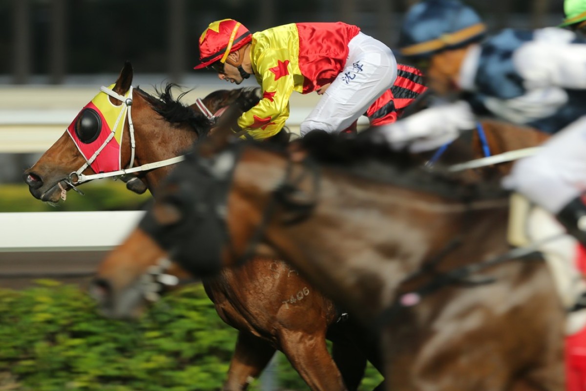 California Joy won the Class Three on December 23 but that speed blur is Sacred Ibis flying home for third. Photo: Kenneth Chan.