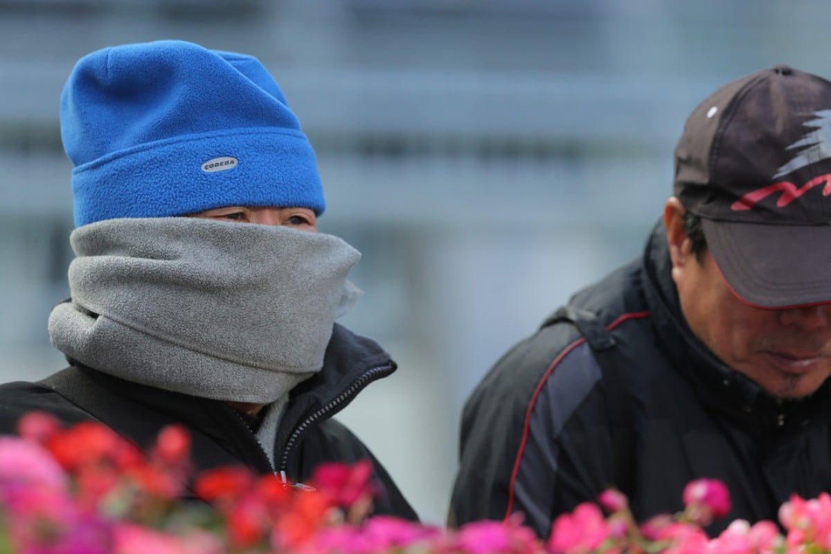 Racing fans brace the cold at Sha Tin on Sunday. Photos: Kenneth Chan