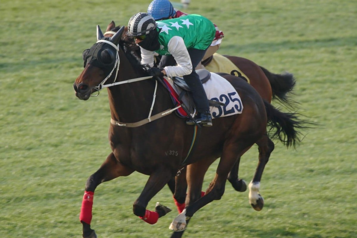 Pakistan Star comes through a barrier trial without incident on Tuesday morning. Photos: Kenneth Chan