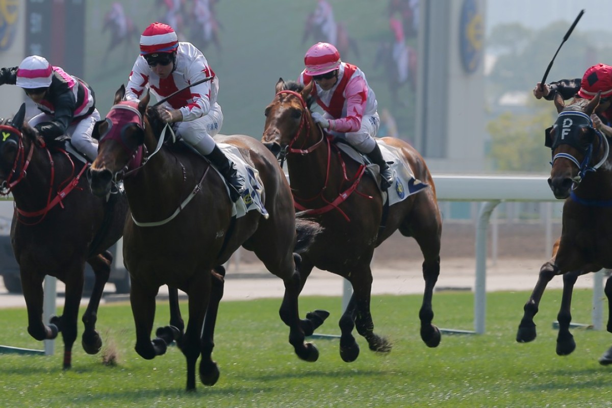 Tommy Berry drives Agree to victory at Sha Tin on Saturday. Photos: Kenneth Chan