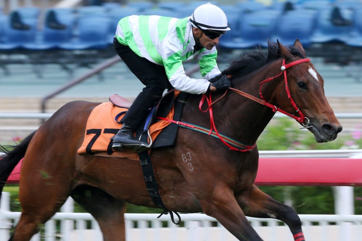 Kiwi Sunrise trials at Sha Tin in December. Photos: Kenneth Chan