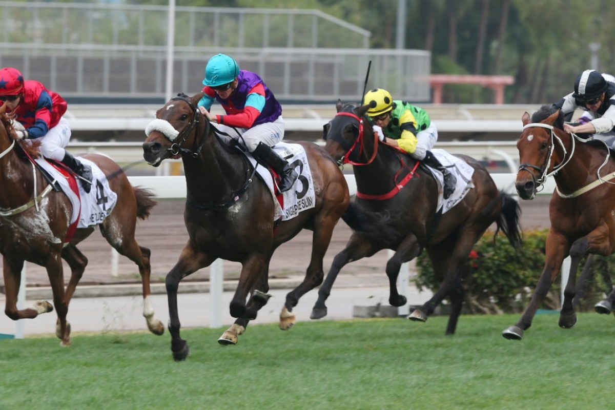 Chad Schofield lifts Singapore Sling to victory in the Classic Cup at Sha Tin on Sunday. Photos: Kenneth Chan