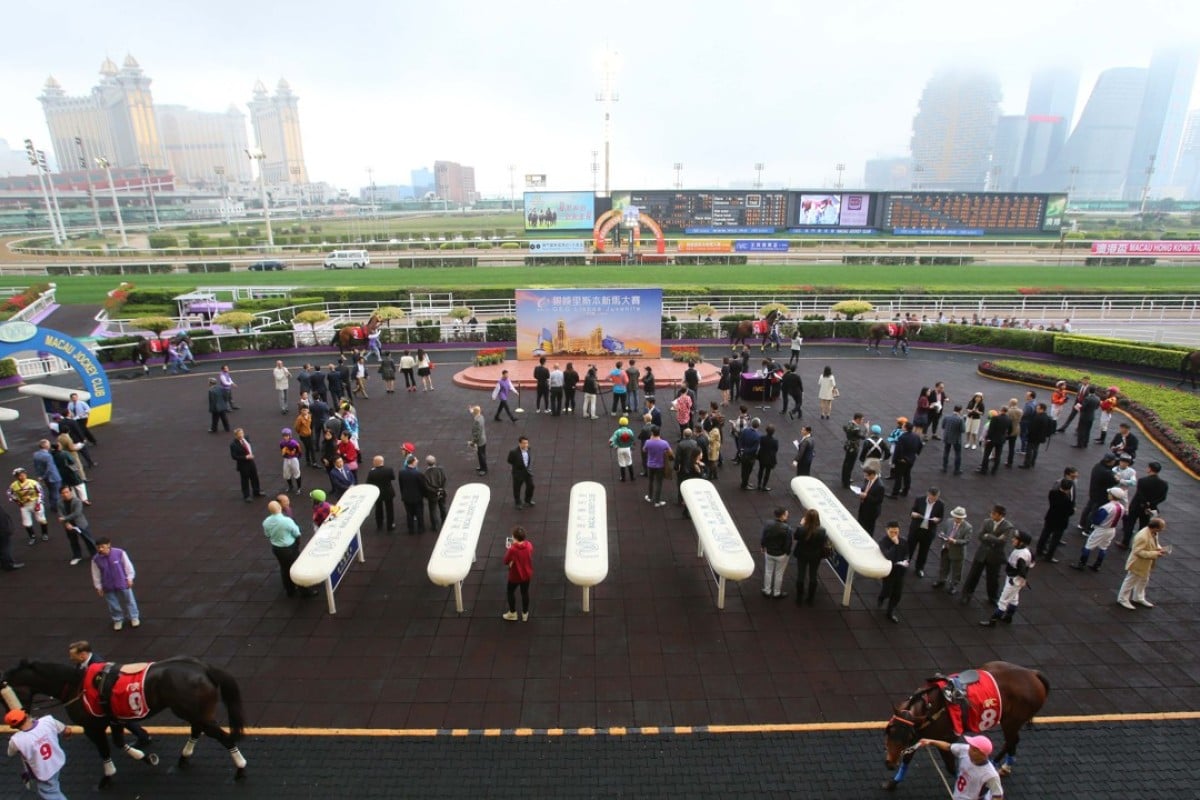 Casinos dominate the backdrop as Macau stages its big race day at Taipa. Photos: Kenneth Chan