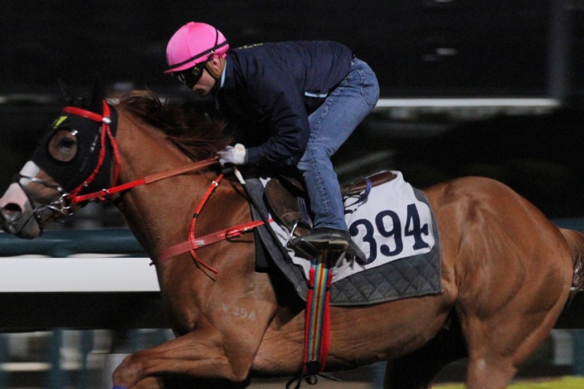 Umberto Rispoli gallops Generous Heart on Monday morning. Photos: Kenneth Chan