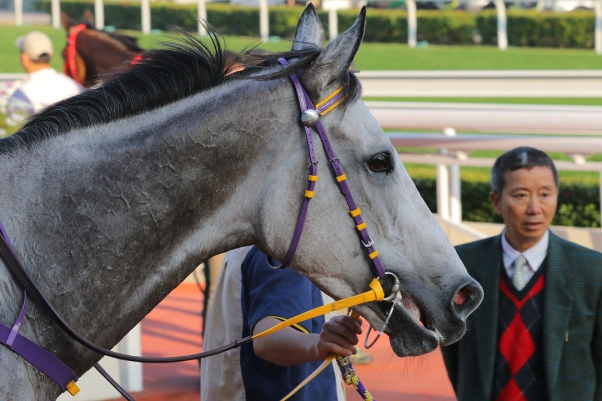 Pingwu Spark and trainer Benno Yung. Photos: Kenneth Chan