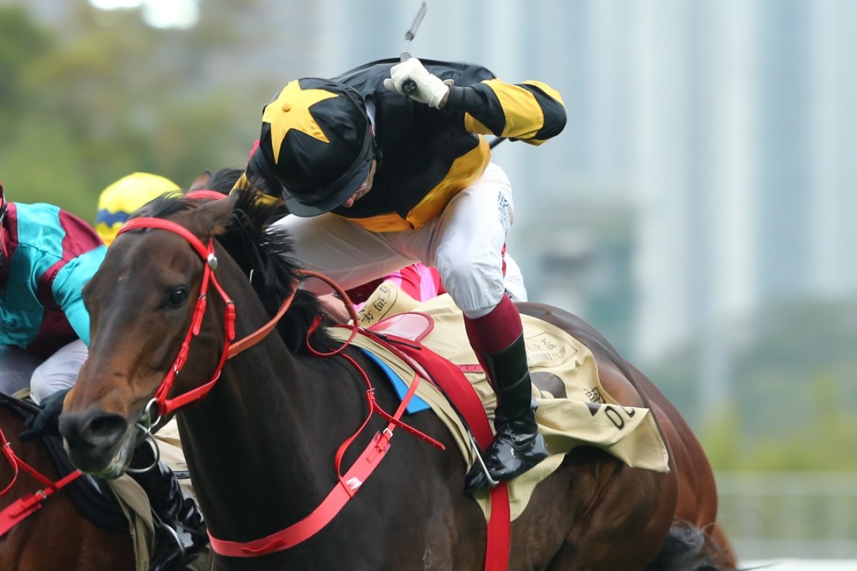 Olivier Doleuze drives D B Pin to victory in the Group One Centenary Sprint Cup. Photos: Kenneth Chan