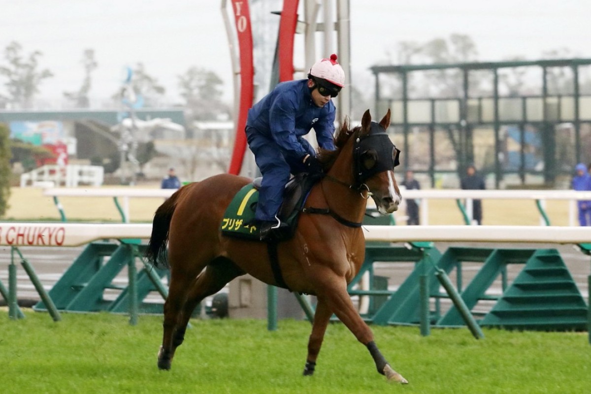 Blizzard struggles during a gallop at Chukyo Racecourse on Thursday. Photos: Kenneth Chan