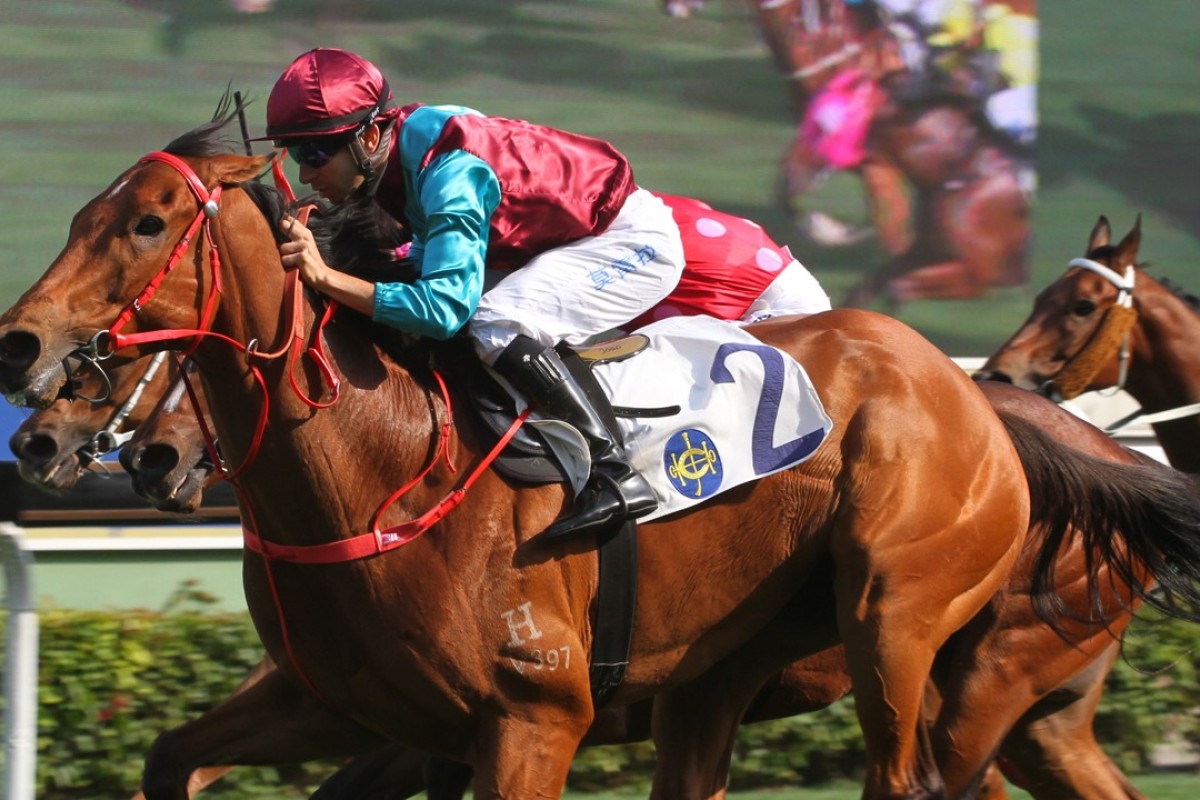 Beat The Clock wins the Group Two Sprint Cup. Photos: Kenneth Chan