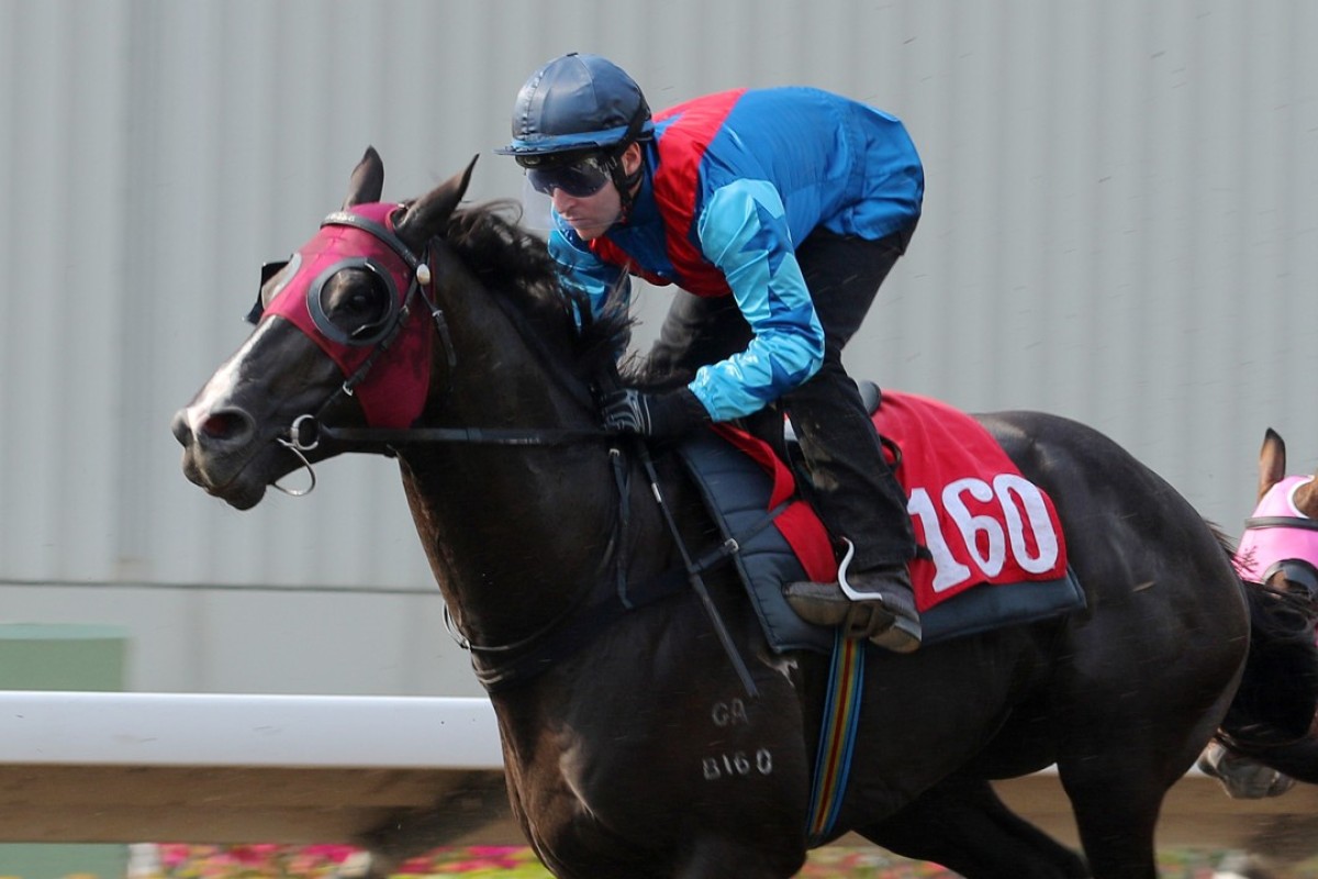 Ruthven attacks the line for Tommy Berry in a trial on April 3. Photos: Kenneth Chan