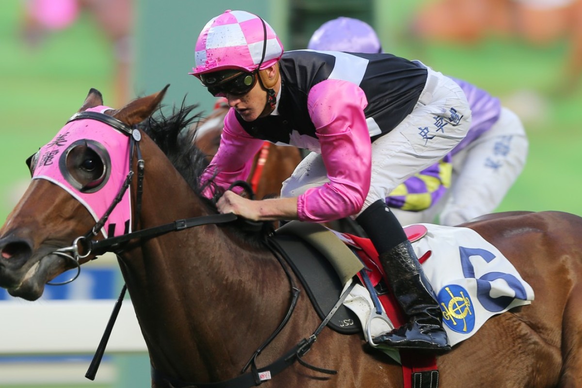 Chad Schofield lifts Win Beauty Win to victory. Photos: Kenneth Chan